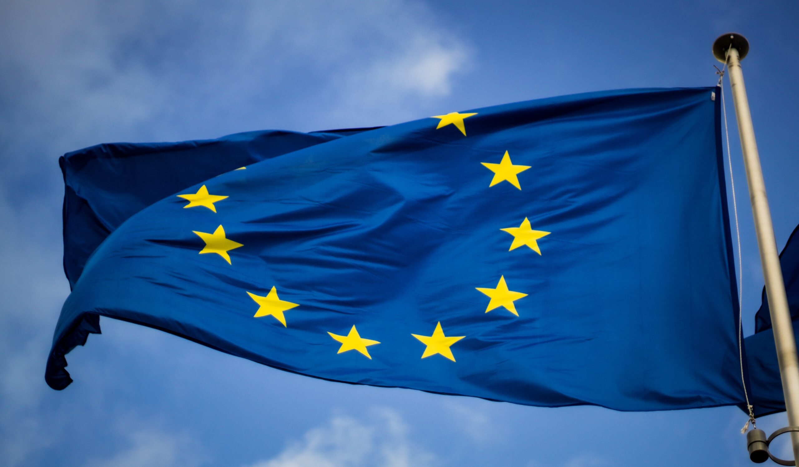 GCE releases its Coalition Manifesto for the EU elections 2024