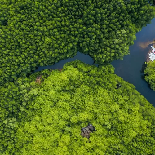 GCE podcast nature based solutions