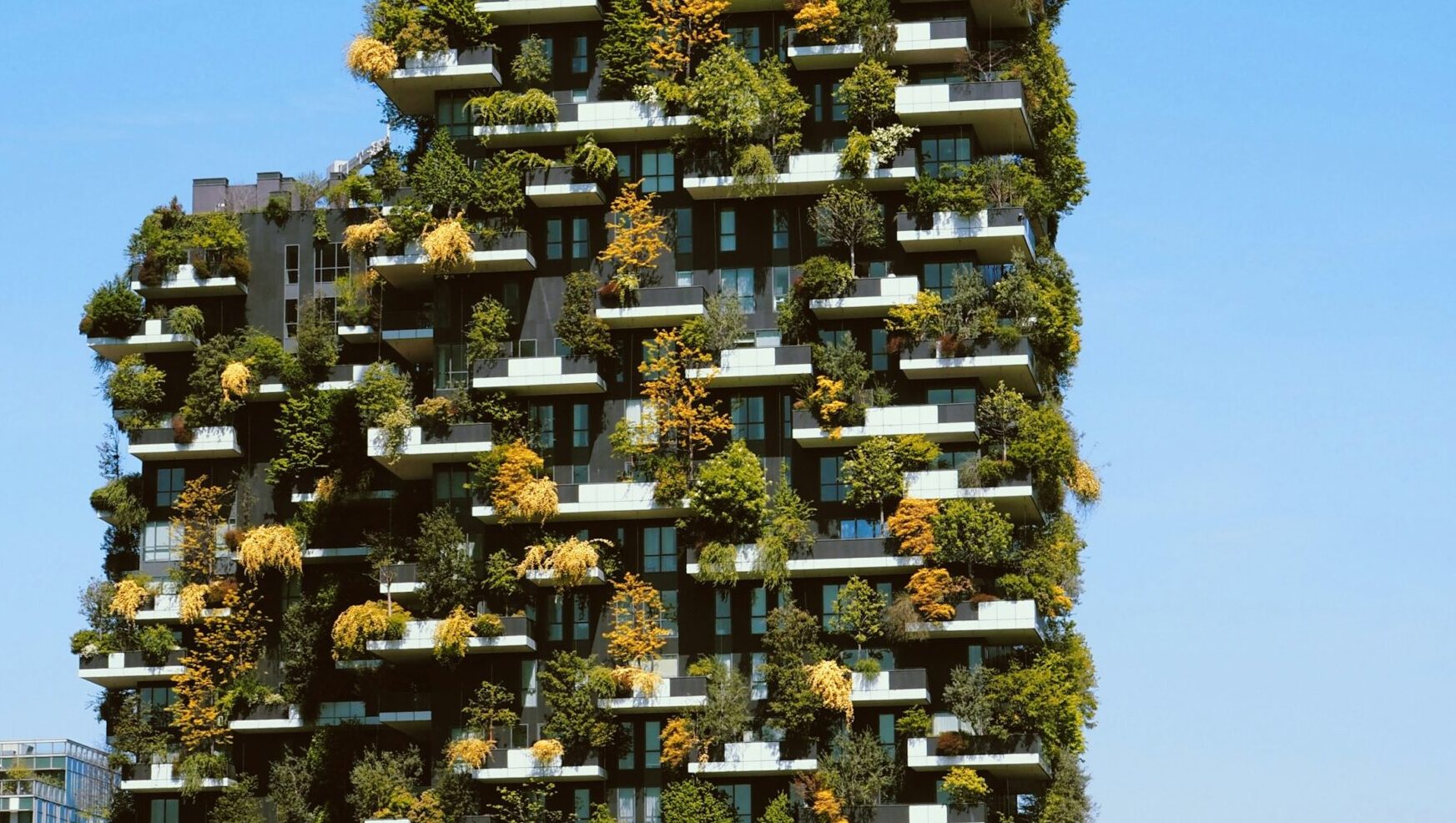 Nature-based Solutions Podcast Episode 2: Greening Cities