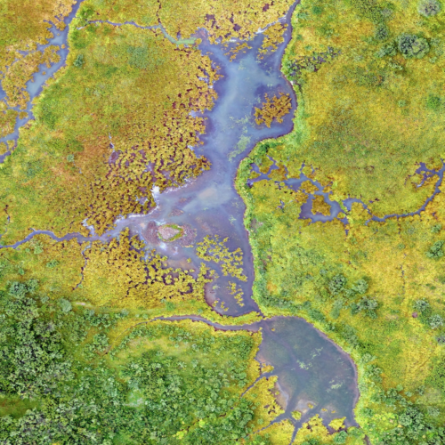 Bird view on wetlands / peatlands in US rocky mountains