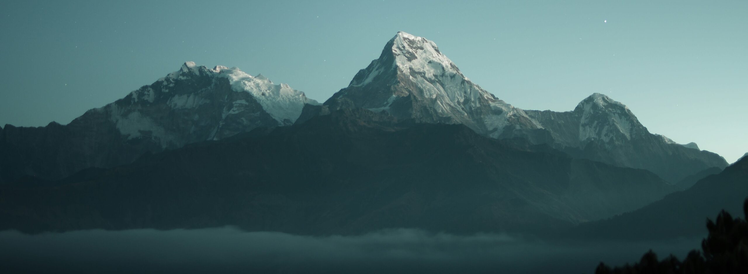 Mountains: wildlife that defines the landscape