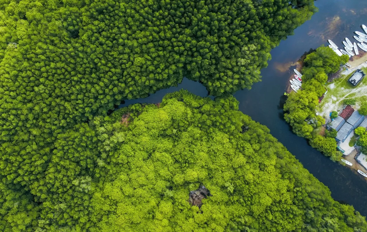 Bird's view on river, forest and small island port